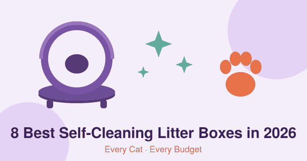 Flat illustration of a purple self-cleaning globe litter box with green sparkles and an orange paw print, header for the best self-cleaning litter boxes 2026 article