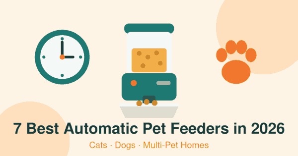 Flat illustration of a teal automatic pet feeder dispensing kibble into a bowl, with a meal-schedule clock and an orange paw print, header for the best automatic pet feeders 2026 article