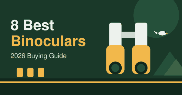 Flat illustration of a pair of binoculars and a mountain with a bird on a deep green background, header for the best binoculars 2026 article