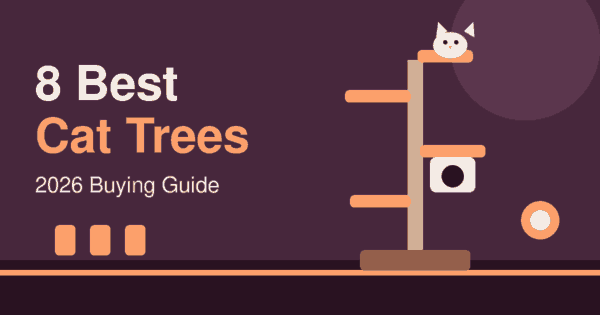 8 Best Cat Trees in 2026 for Every Cat and Budget