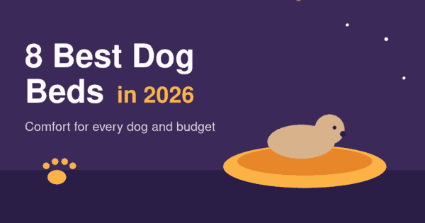 Flat illustration of a dog resting on a round orange dog bed on a purple background, header for the best dog beds 2026 article