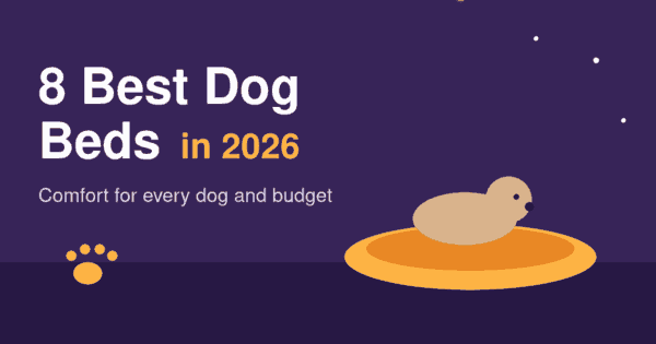 Flat illustration of a dog resting on a round orange dog bed on a purple background, header for the best dog beds 2026 article